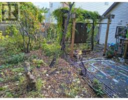 303 Lacasse Avenue, Ottawa, ON K1L7A5 Photo 8