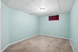 37 650 Warde Avenue, Winnipeg, MB R2N3Z7 Photo 22