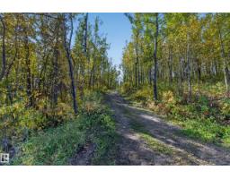 48137 Rge Rd 232, Rural Leduc County, AB T0C1Z0 Photo 46