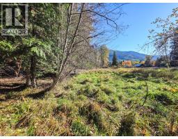 Parcel B Highway 3a Highway, Crawford Bay, BC V0B1E0 Photo 9