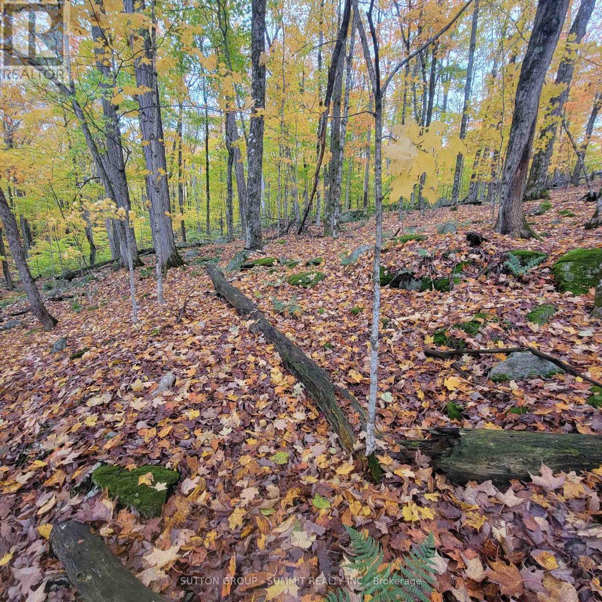 261 Westpoint Sands Road, Huntsville, ON photo 1