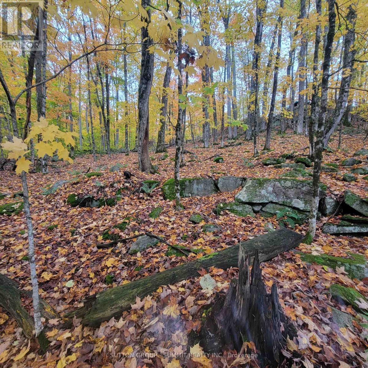 261 Westpoint Sands Road, Huntsville, ON photo 2