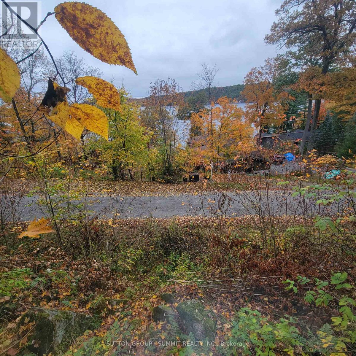 261 Westpoint Sands Road, Huntsville, ON photo 3