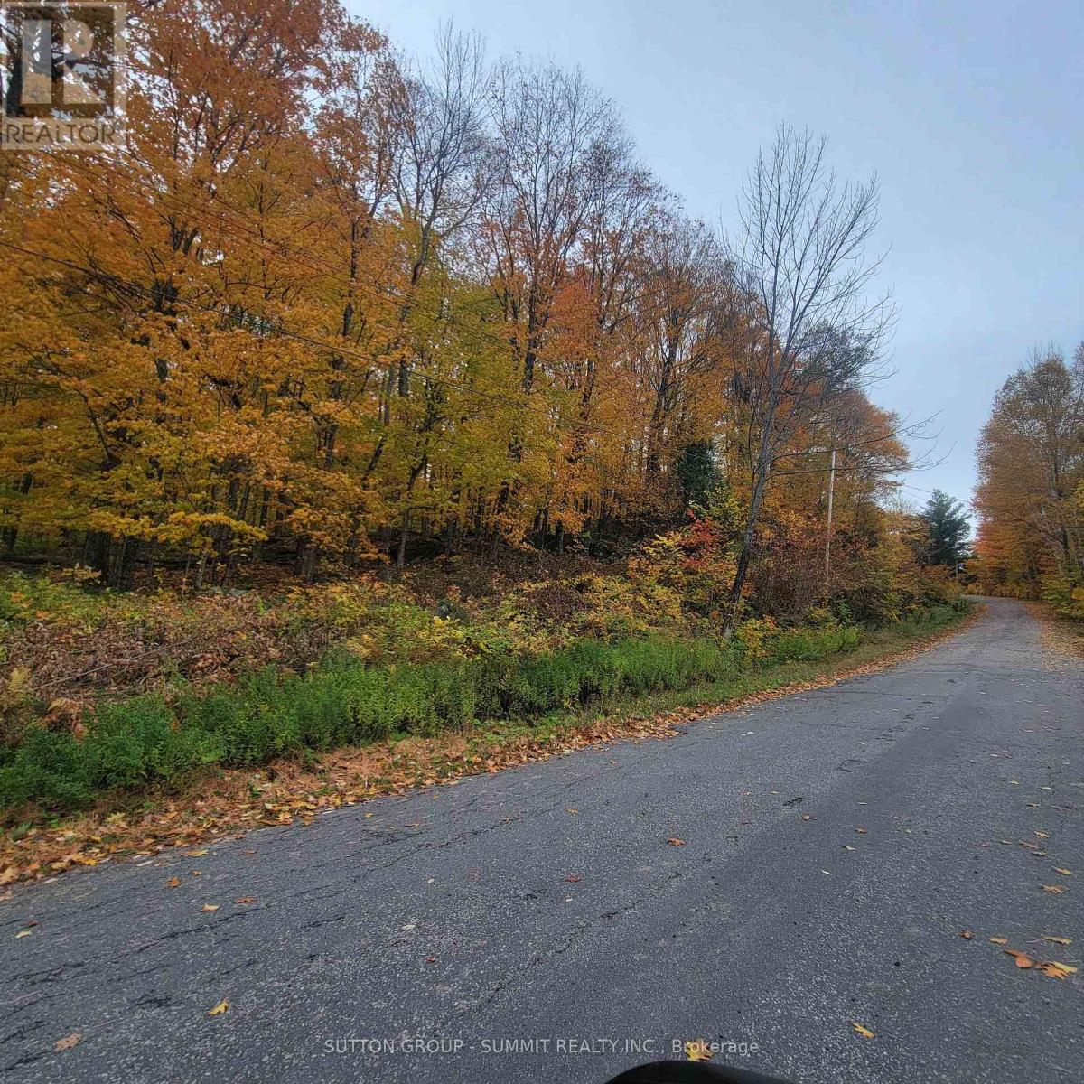 255 WESTPOINT SANDS ROAD, Huntsville (Brunel) — photo 5
