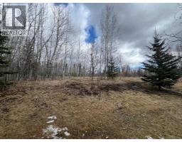 8, 624 41 Street, Edson, AB T7E1A4 Photo 23