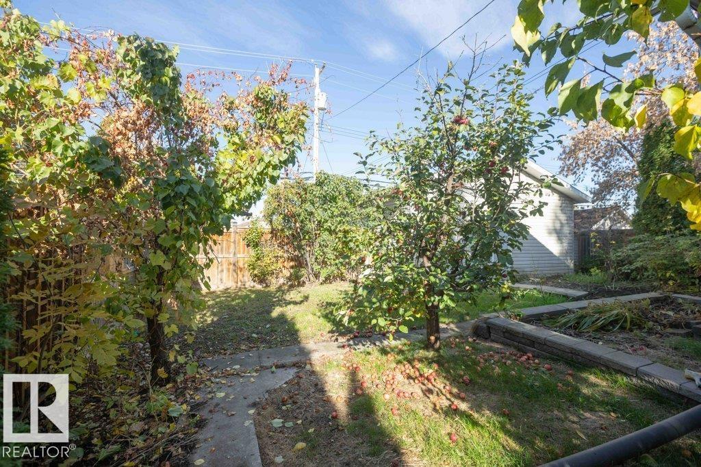 10120 104 ST - 19