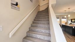 190 Clarkleigh Crescent, Winnipeg, MB R2V5E3 Photo 17