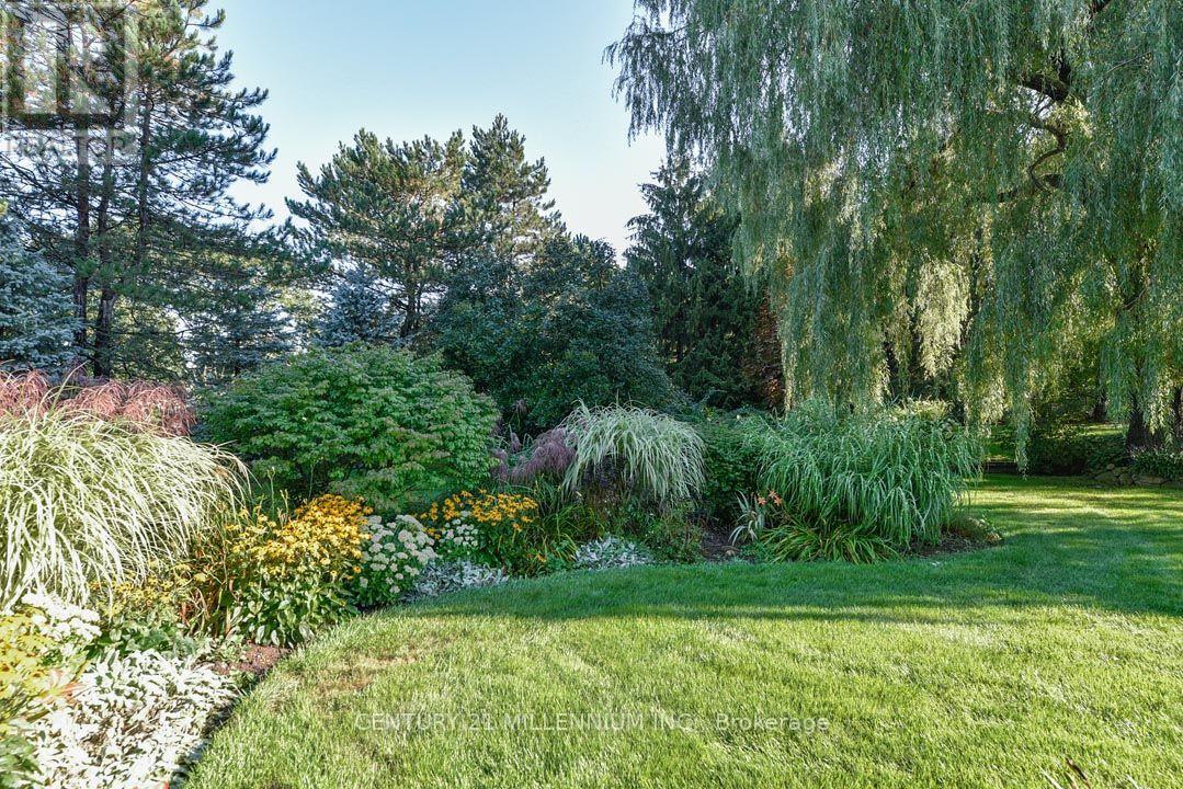5 Snowberry Court — photo 24