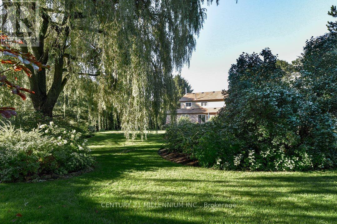 5 SNOWBERRY COURT - 37