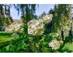 5 Snowberry Court, Caledon, ON L7K0B5 Photo 40