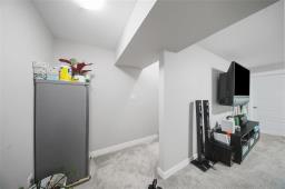 19 Mira Gate, Winnipeg, MB R2V5C6 Photo 28