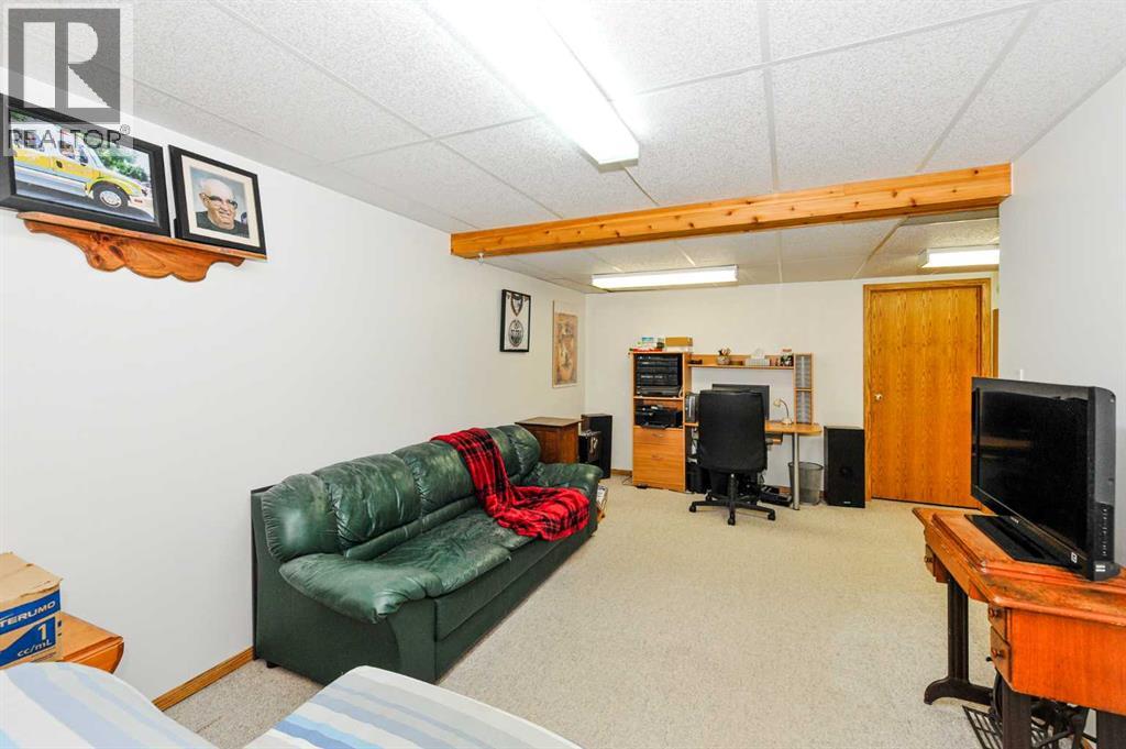 Basement Family Room