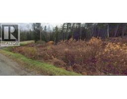 Vacant lot Mountain Brook, photo 4