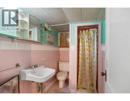 455 Curry, Windsor, ON N9B2B8 Photo 20