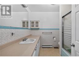 113 First Avenue, Sudbury, ON P3B3L2 Photo 17