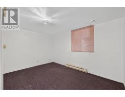 113 First Avenue, Sudbury, ON P3B3L2 Photo 44