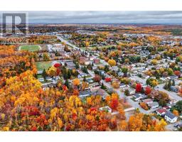113 First Avenue, Sudbury, ON P3B3L2 Photo 65