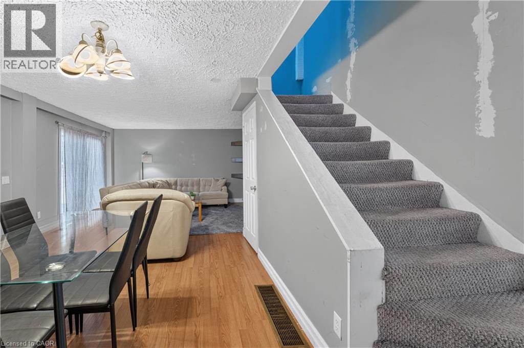 10 MAPLE Avenue - 12