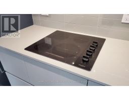 1207 - 319 Jarvis Street, Toronto, ON M5B2C2 Photo 12