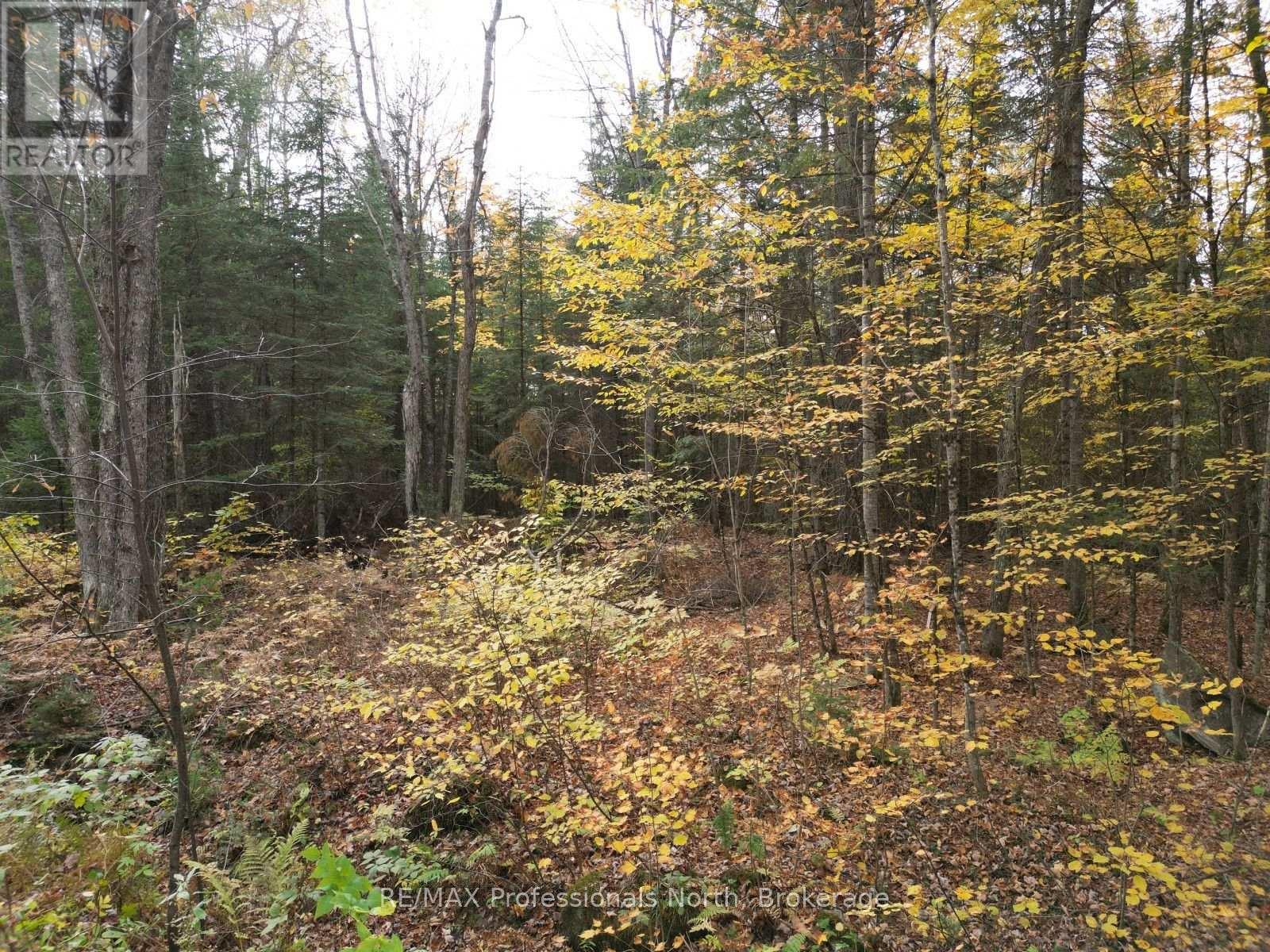 TBD RUGGED LANE, Minden Hills (Hindon) — photo 5