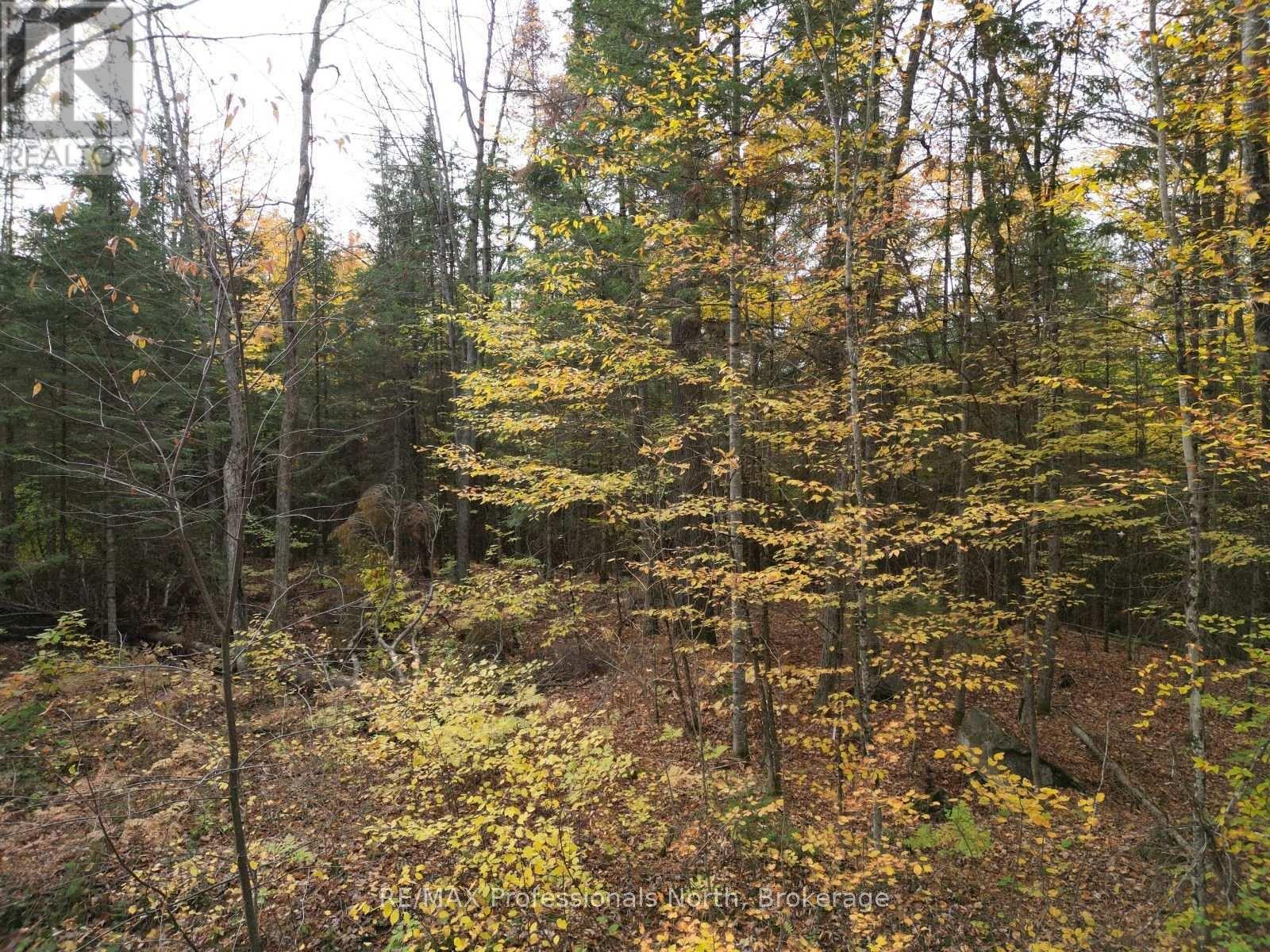 TBD RUGGED LANE, Minden Hills (Hindon) — photo 6