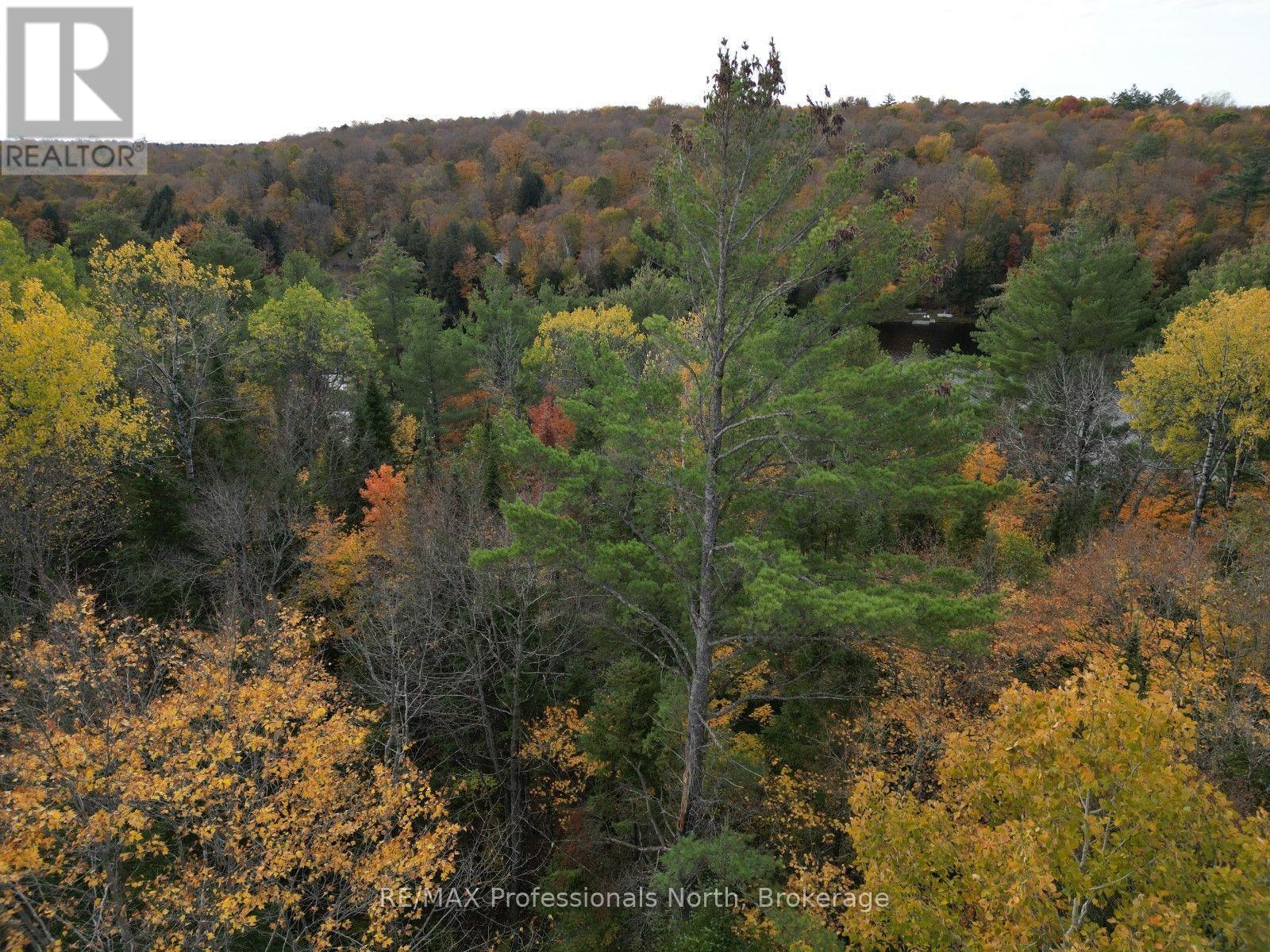 TBD RUGGED LANE, Minden Hills (Hindon) — photo 7