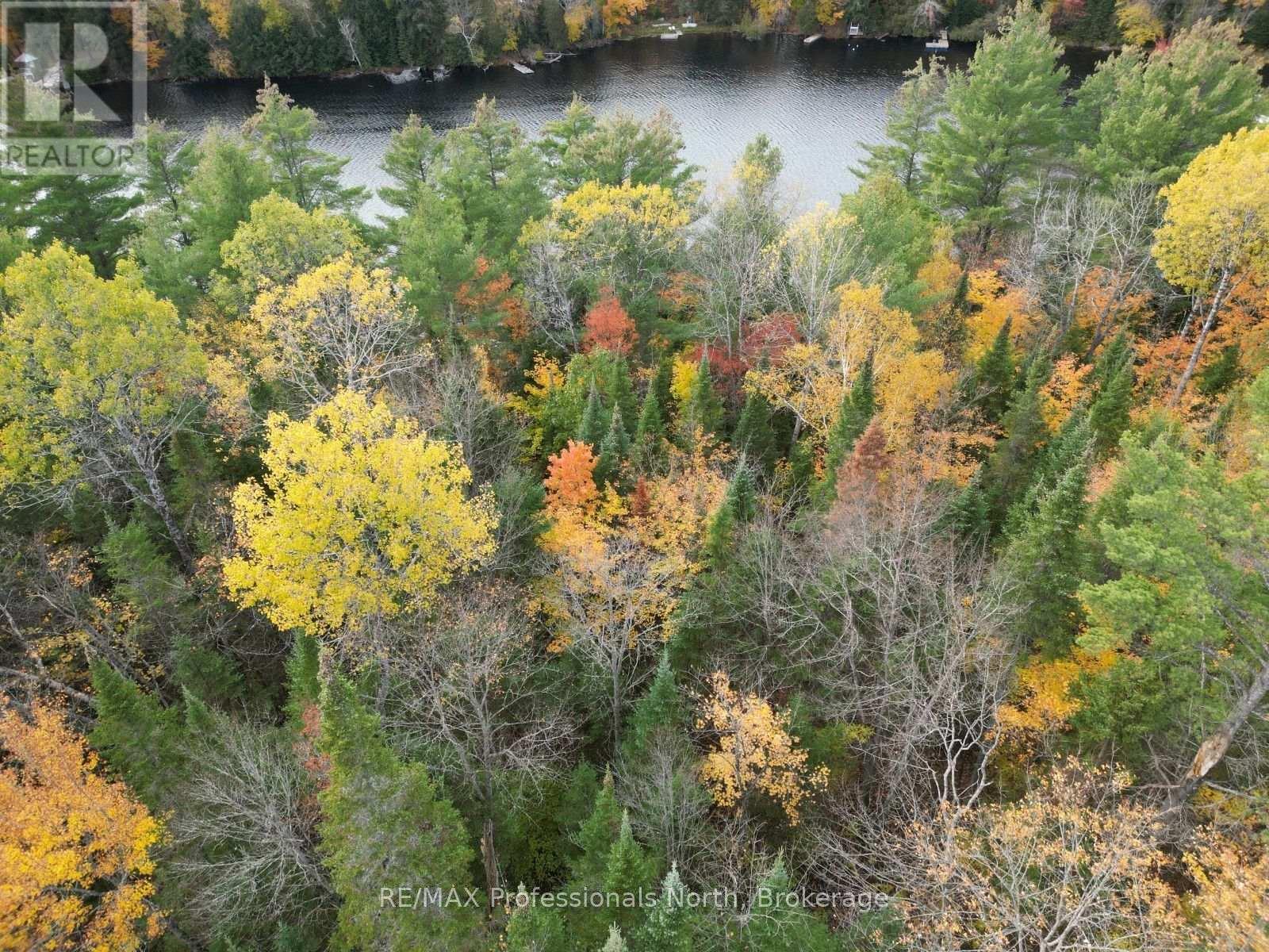TBD RUGGED LANE, Minden Hills (Hindon) — photo 9