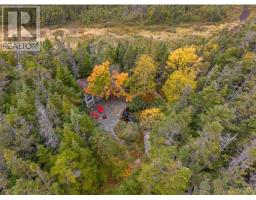 269 Bauline Line Extension thumbnail 39