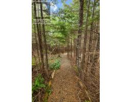 269 Bauline Line Extension thumbnail 40