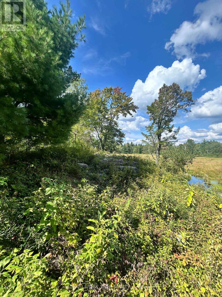 Lot 7&8 Pond Road — photo 11