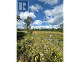 Lot 7&8 Pond Road, Tay Valley, ON K0H2B0 Photo 10