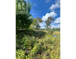 Lot 7&8 Pond Road, Tay Valley, ON K0H2B0 Photo 11