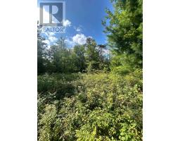 Lot 7&8 Pond Road, Tay Valley, ON K0H2B0 Photo 12