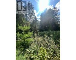 Lot 7&8 Pond Road, Tay Valley, ON K0H2B0 Photo 13