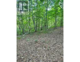Lot 7&8 Pond Road, Tay Valley, ON K0H2B0 Photo 15