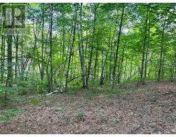 Lot 7&8 Pond Road, Tay Valley, ON K0H2B0 Photo 16