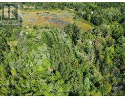 Lot 7&8 Pond Road, Tay Valley, ON K0H2B0 Photo 21