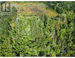 Lot 7&8 Pond Road, Tay Valley, ON K0H2B0 Photo 29