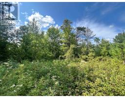 Lot 7&8 Pond Road, Tay Valley, ON K0H2B0 Photo 6
