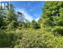 Lot 7&8 Pond Road, Tay Valley, ON K0H2B0 Photo 7