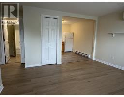 162 Upper Mclean Street, Glace Bay, NS B1A2L3 Photo 14