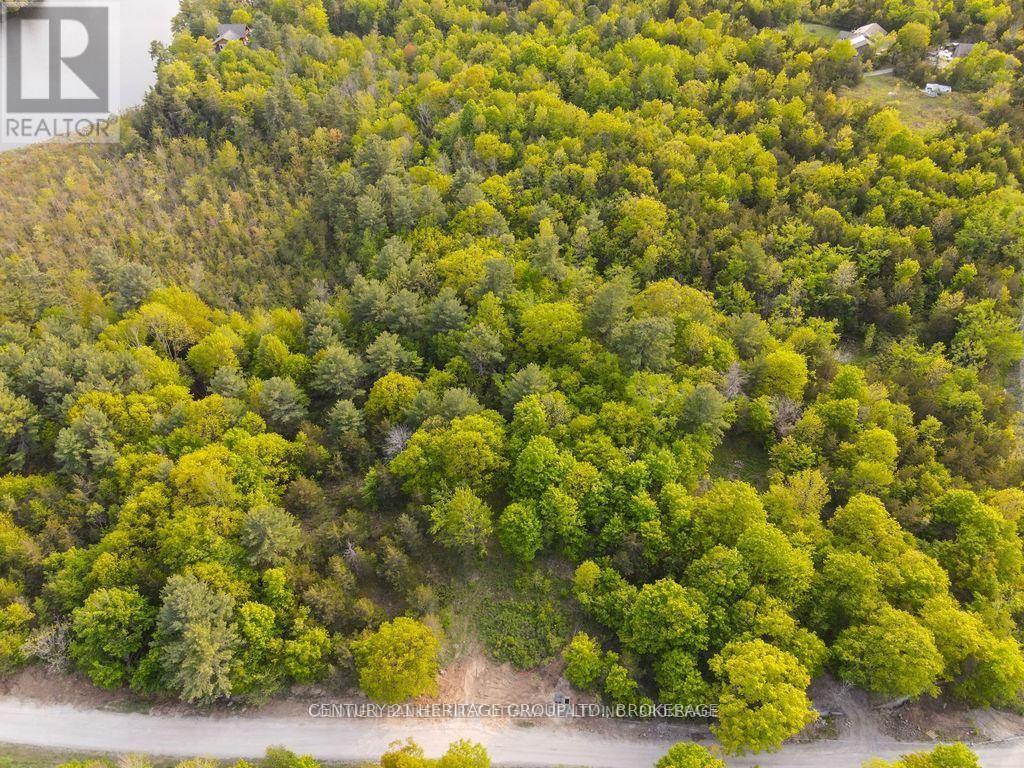 Lot 13 Hinterland Lane — photo 14