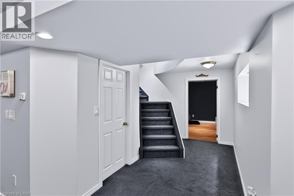 150 Rowntree Drive — photo 30