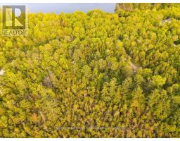 15 Hinterland Lane, Frontenac, ON K0H2L0 Photo 9