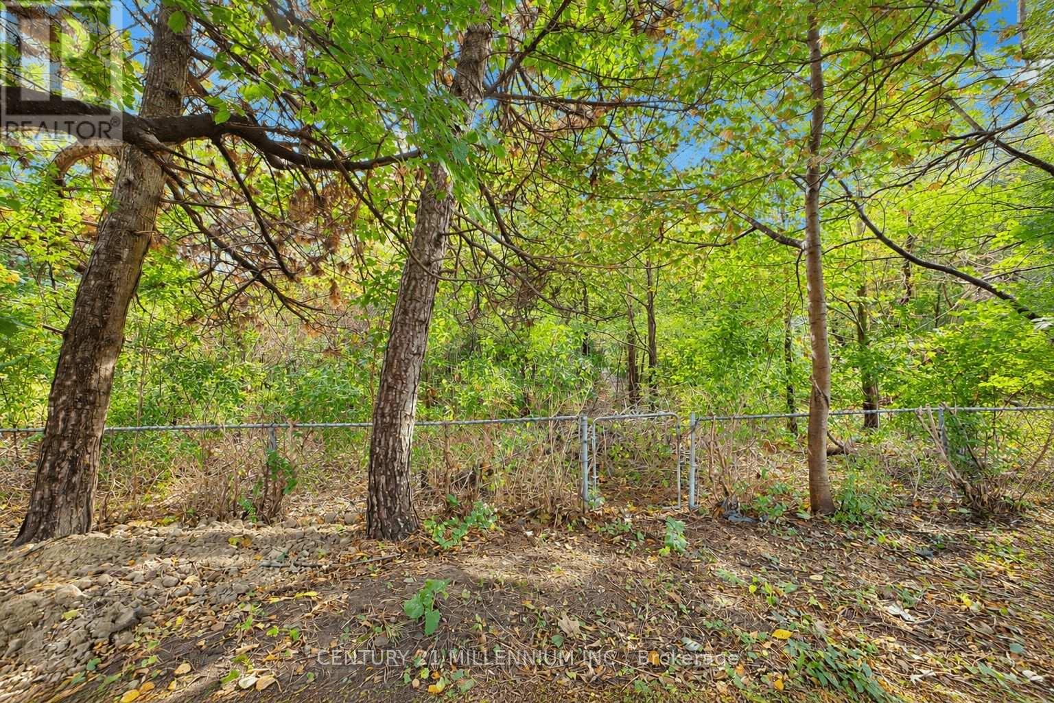 3578 Golden Orchard Drive — photo 34