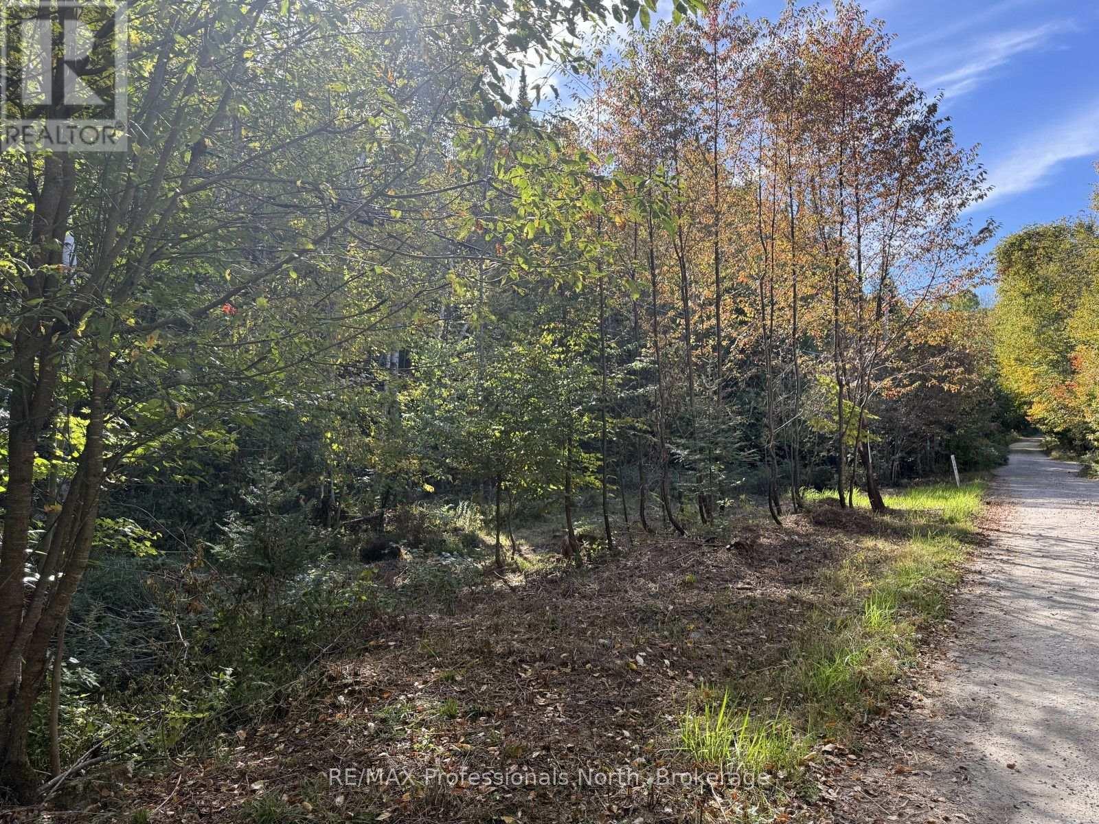 North Drive — photo 7