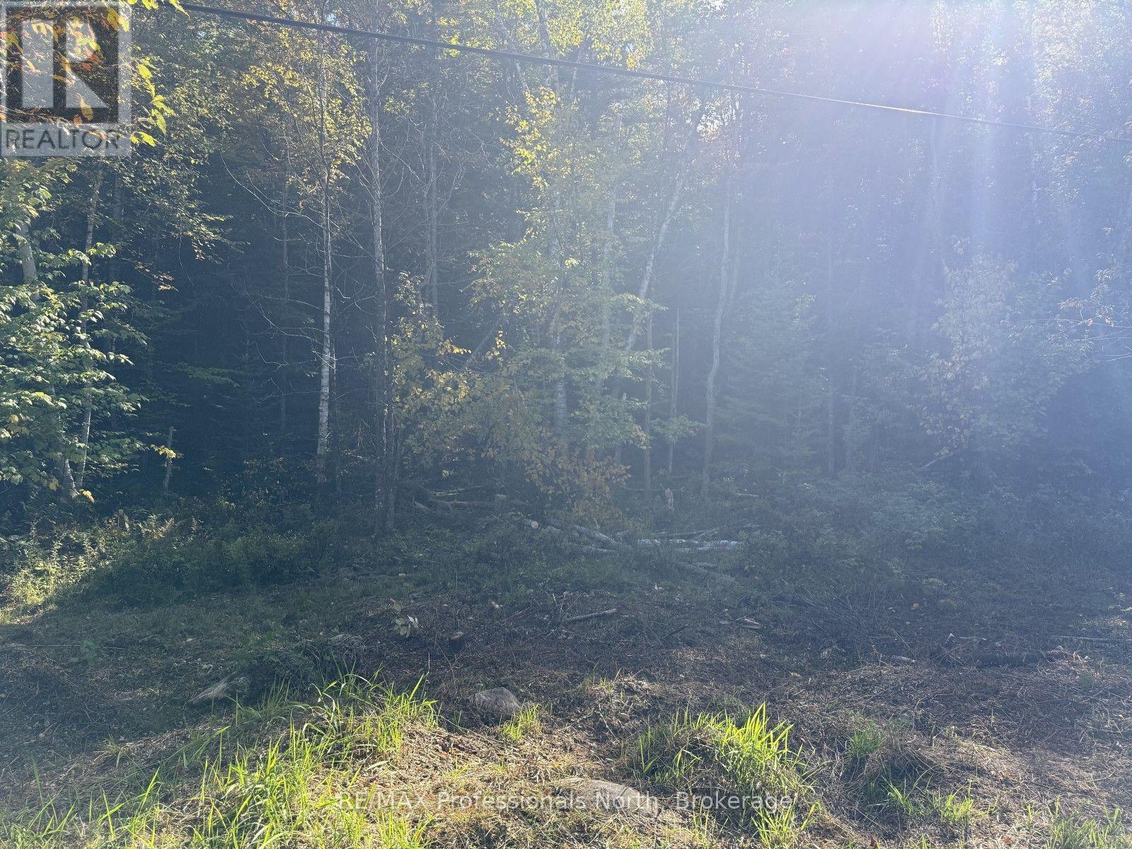 North Drive — photo 8