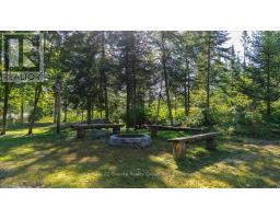 22934 62 Highway S, Limerick, ON K0L1W0 Photo 21