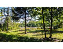 22934 62 Highway S, Limerick, ON K0L1W0 Photo 29