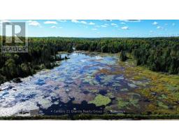 22934 62 Highway S, Limerick, ON K0L1W0 Photo 30